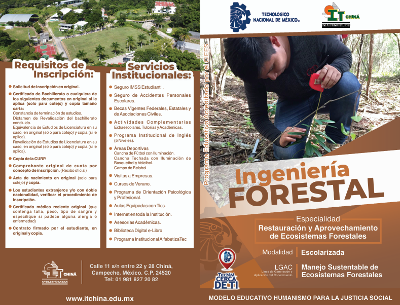 Ingeniería en Forestal - Imagen 1