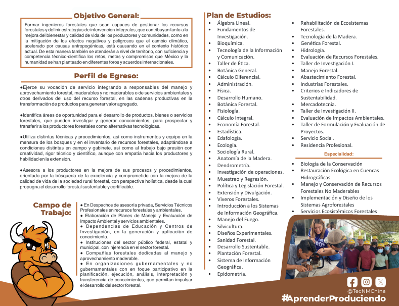 Ingeniería en Forestal - Imagen 2