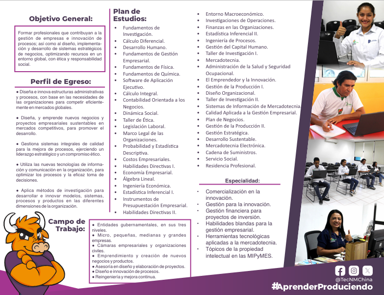 Ingeniería en Gestión Empresarial Mixta - Imagen 2