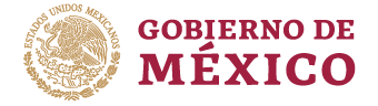 Logo Gob mexico